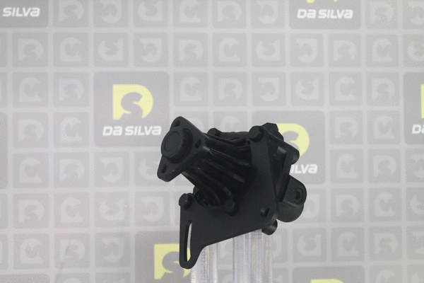 Hydraulic Pump, steering (DP3559)