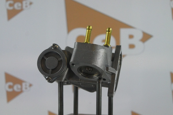 EGR Valve