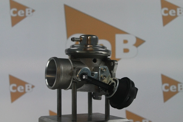 EGR Valve (GR6041)