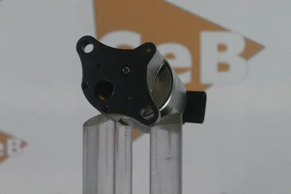 EGR Valve (GR6009)