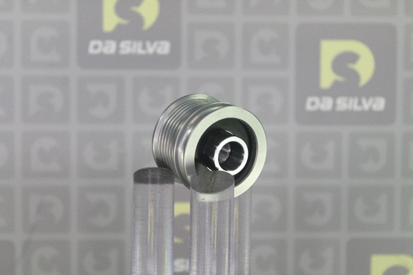 Alternator Freewheel Clutch