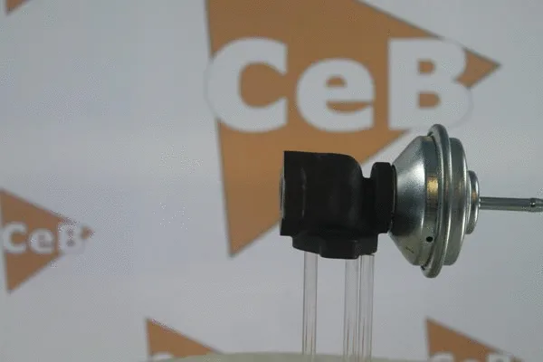 EGR Valve