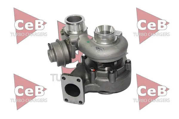 Charger, charging (supercharged/turbocharged) (CB118)