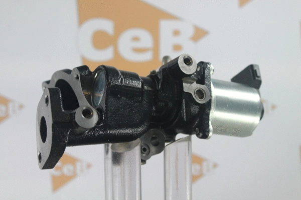 EGR Valve (GR6130)