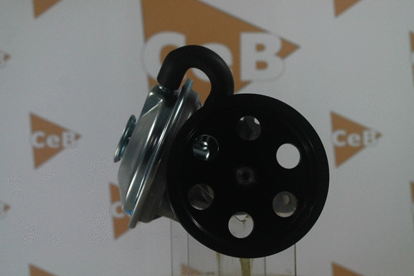 Vacuum Pump, braking system