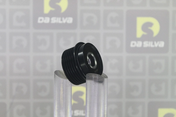 Alternator Freewheel Clutch