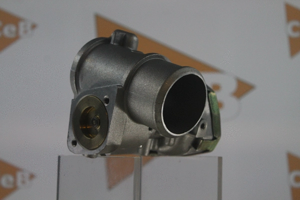 EGR Valve (GR6067)