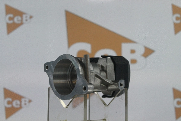 EGR Valve (GR6064)