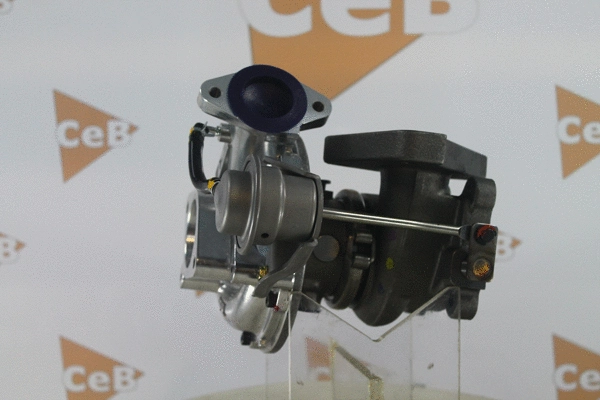 Charger, charging (supercharged/turbocharged)