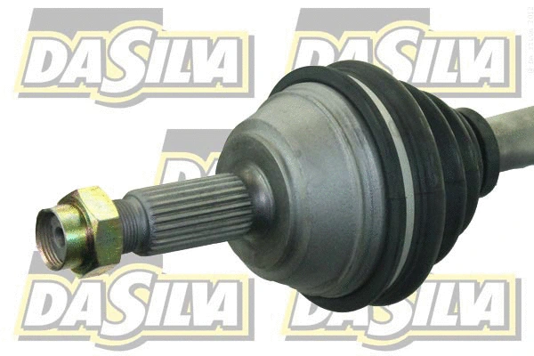 Drive Shaft