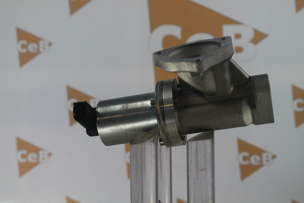 EGR Valve