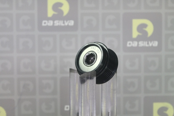 Alternator Freewheel Clutch (PRL173)