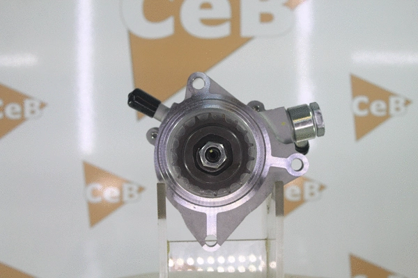 Vacuum Pump, braking system