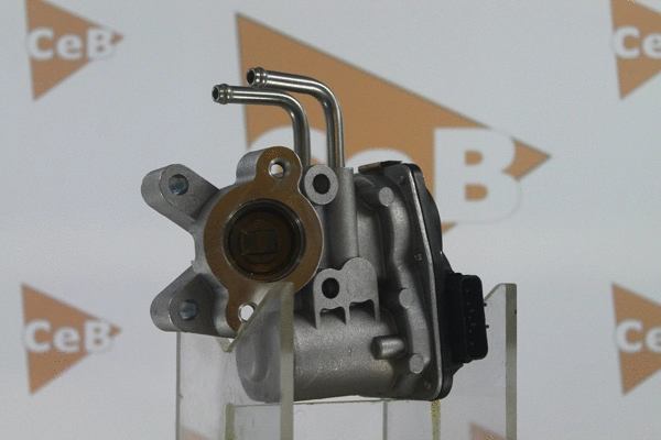 EGR Valve (GR6081)