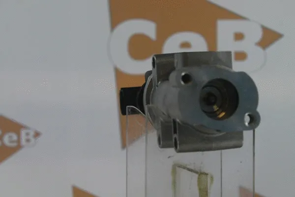 EGR Valve
