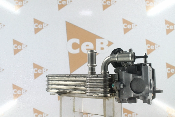 Cooler, exhaust gas recirculation