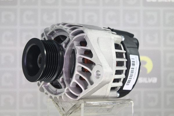 Alternator (011224)