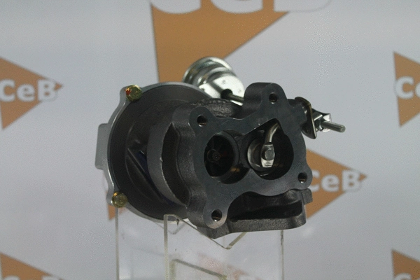 Charger, charging (supercharged/turbocharged)