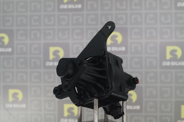 Hydraulic Pump, steering (DP2199)