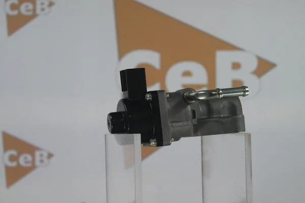 EGR Valve