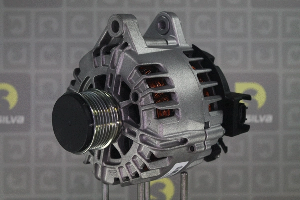 Alternator (012121)