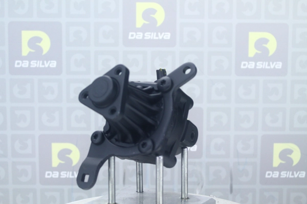 Hydraulic Pump, steering (DP2760)