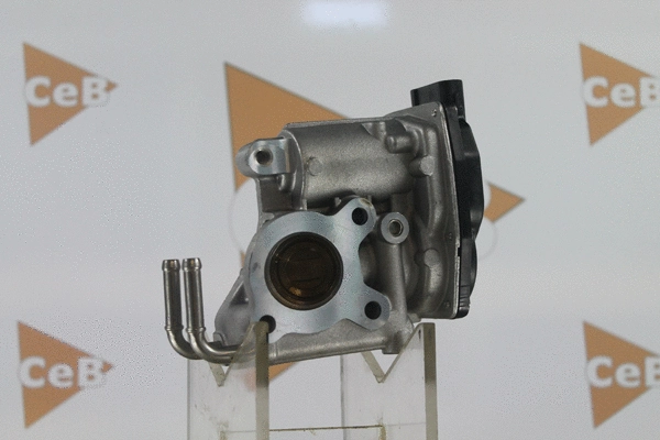 EGR Valve (GR6120)