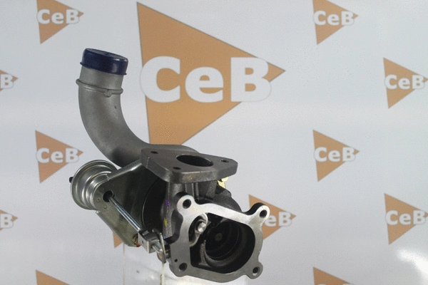 Charger, charging (supercharged/turbocharged)