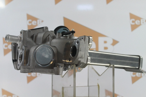 EGR Valve