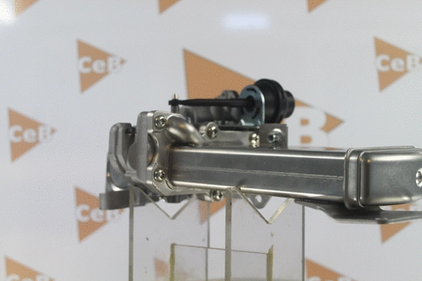 EGR Valve