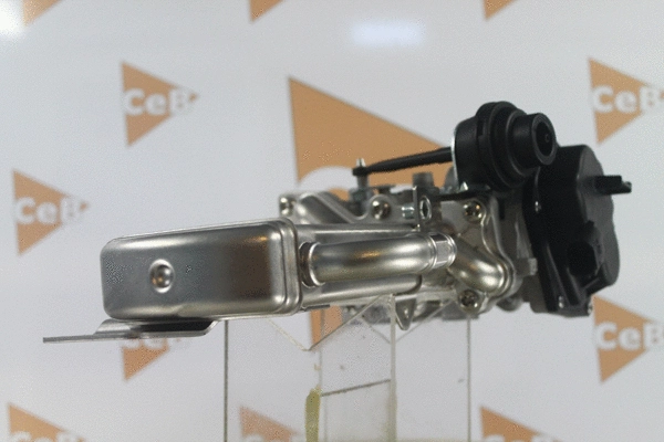 EGR Valve