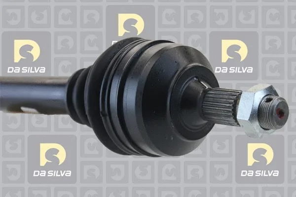 Drive Shaft