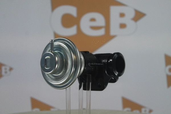 EGR Valve (GR6148)