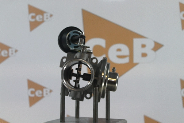 EGR Valve