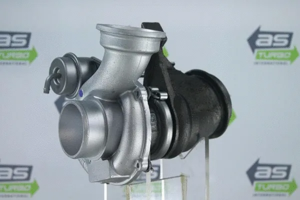 Charger, charging (supercharged/turbocharged) (AS1424)