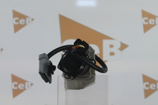 EGR Valve