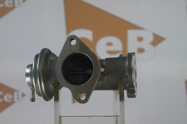 EGR Valve