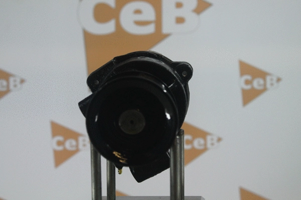 Vacuum Pump, braking system