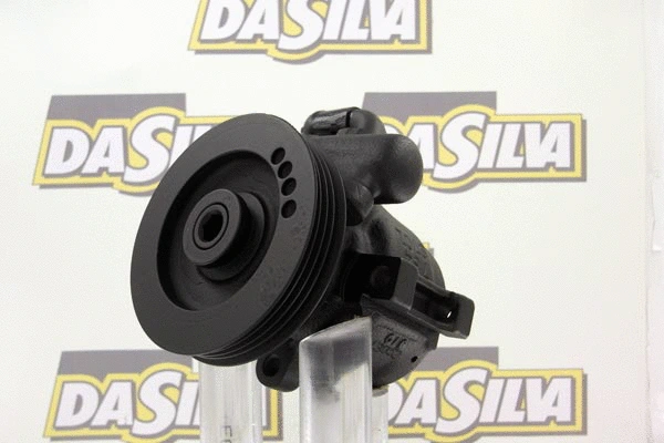 Hydraulic Pump, steering (DP2076)