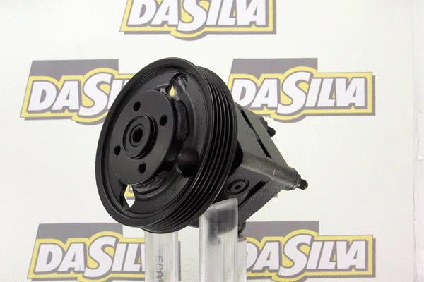 Hydraulic Pump, steering (DP3179)