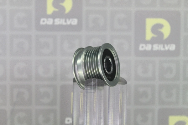 Alternator Freewheel Clutch