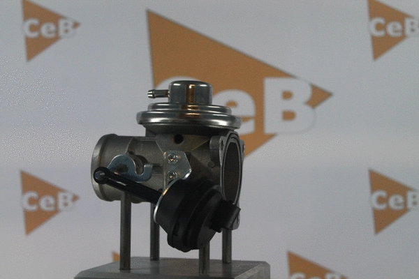 EGR Valve