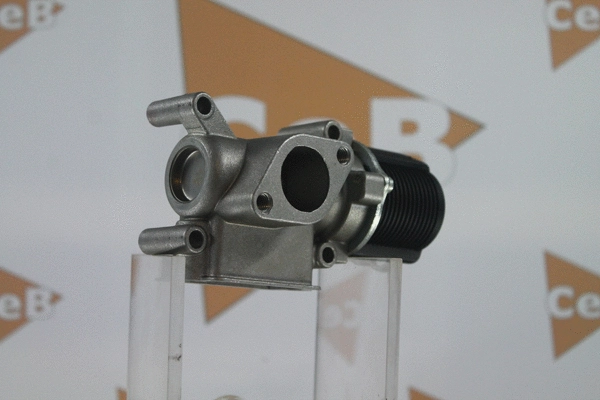 EGR Valve (GR6090)
