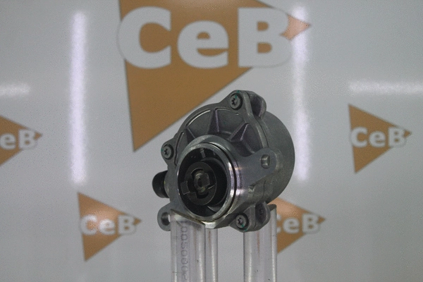 Vacuum Pump, braking system