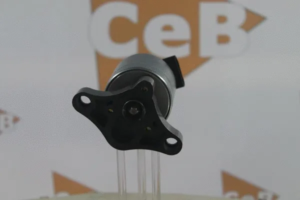 EGR Valve