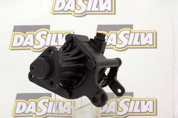 Hydraulic Pump, steering (DP2376)