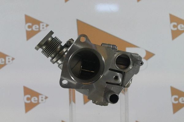 EGR Valve