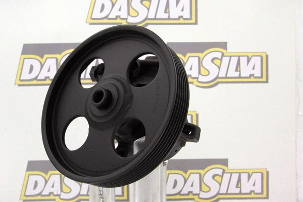 Hydraulic Pump, steering (DP2484)