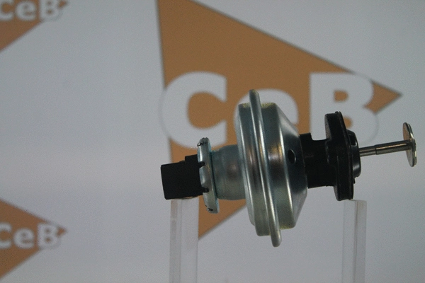 EGR Valve
