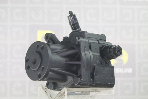 Hydraulic Pump, steering (DP2789)